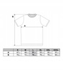 T-SHIRT MĘSKI MORAJ PREMIUM KOSZULKA MĘSKA BAWEŁNA CZESANA MIĘTA R.XXL