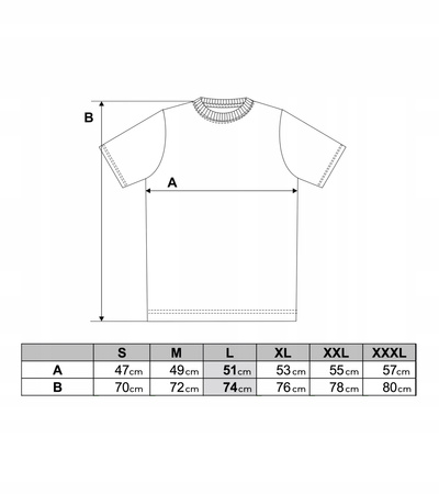 T-SHIRT MĘSKI MORAJ PREMIUM KOSZULKA MĘSKA BAWEŁNA CZESANA MIĘTA R.XXL