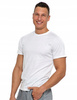 Bawełniany T-shirt Koszulka Męska BASIC Gładka MORAJ Kolor BIAŁY 3XL